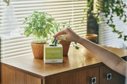 Où rapporter mes piles et batteries usagées ?